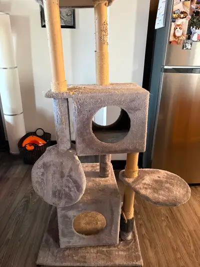 Cat Tree, View more
