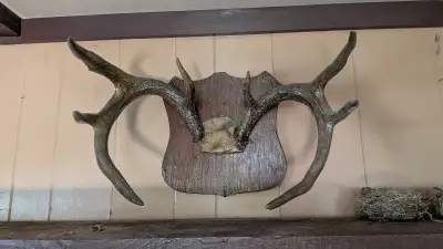 Antlers Hunting Cabin, View more