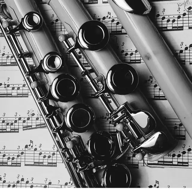 Flute Teacher ( Online Music Teacher)