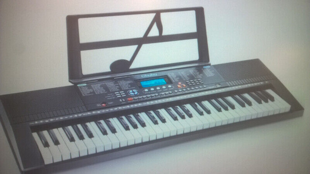 Ohuhu Digital Piano Keyboard w/ Headphone, Mic, Stand, Stool in Pianos & Keyboards in Bedford