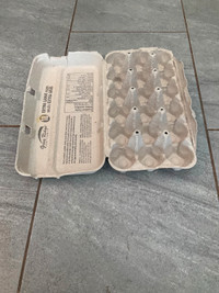 Wanted 18's egg cartons