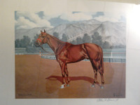 Famous Race Horse Print -"Silky Sullivan" so
Vintage New Price 
