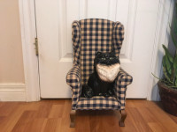 CAT AND CHAIR