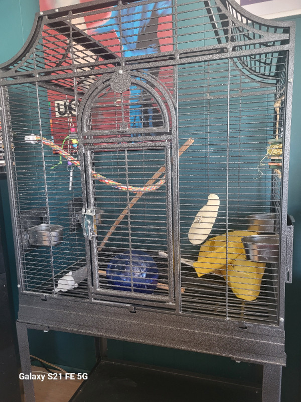 Cage d’oiseau dans Accessoires  à Ville de Québec