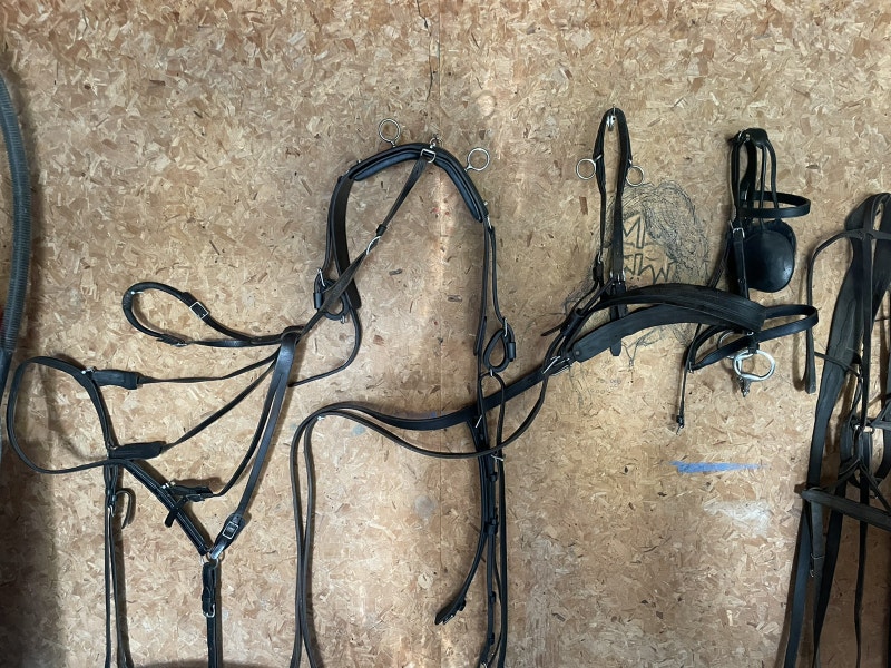 Horse harness/ bridle, back pads, breast collar, tugs Horses & Ponies
