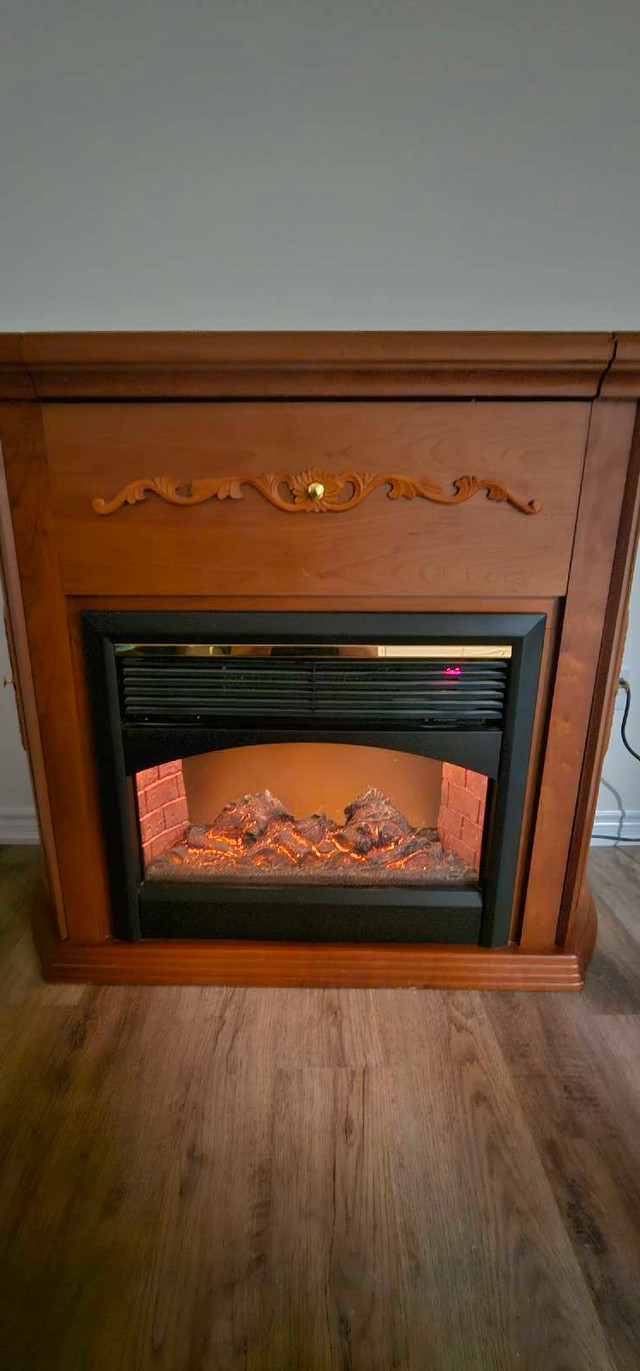 Electric Fireplace with Fire/Wood log sound 750/1500 Watt in Fireplace & Firewood in Mississauga / Peel Region - Image 3