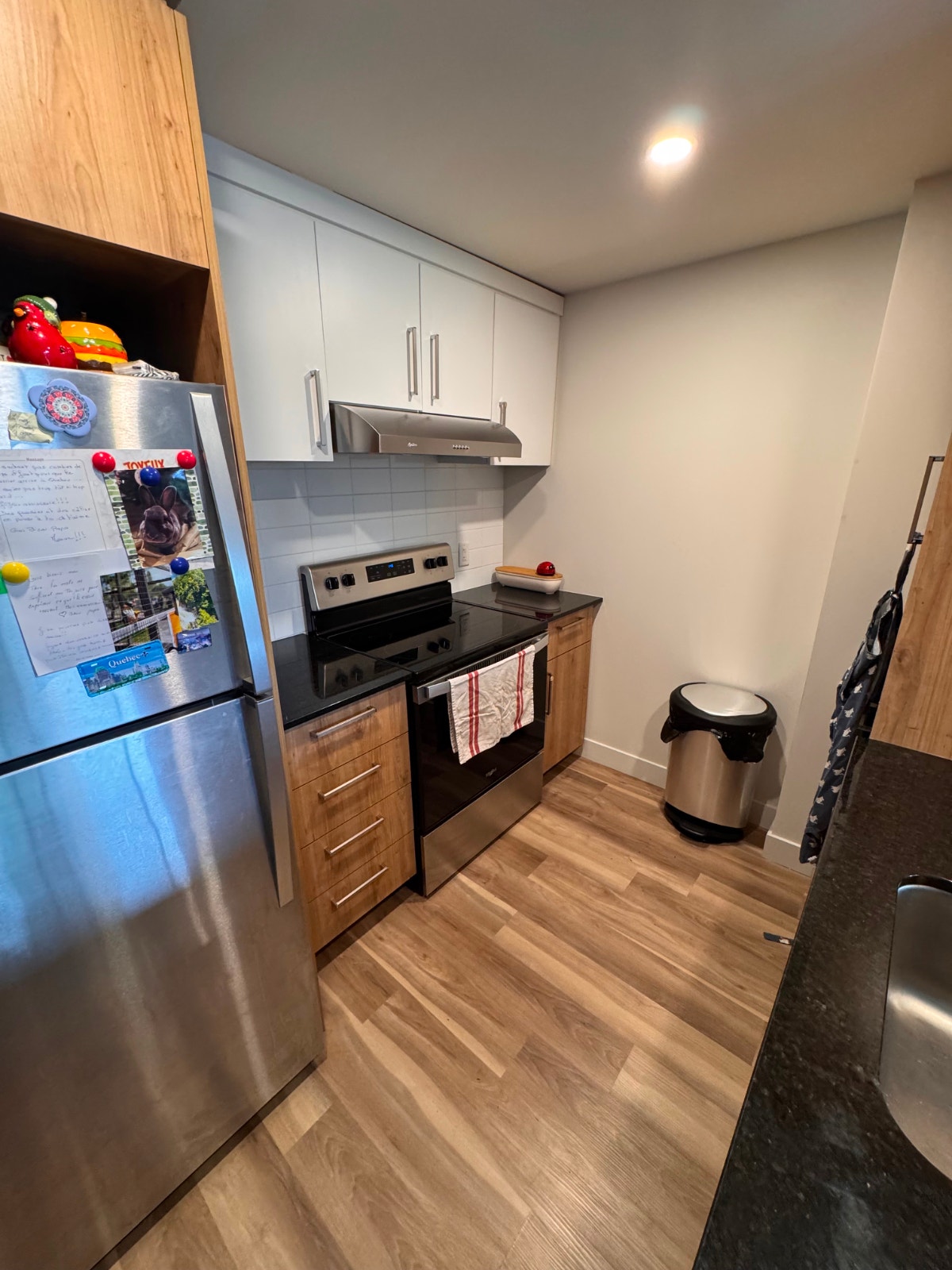 Appartement 3 1/3 tout inclus — photo 2