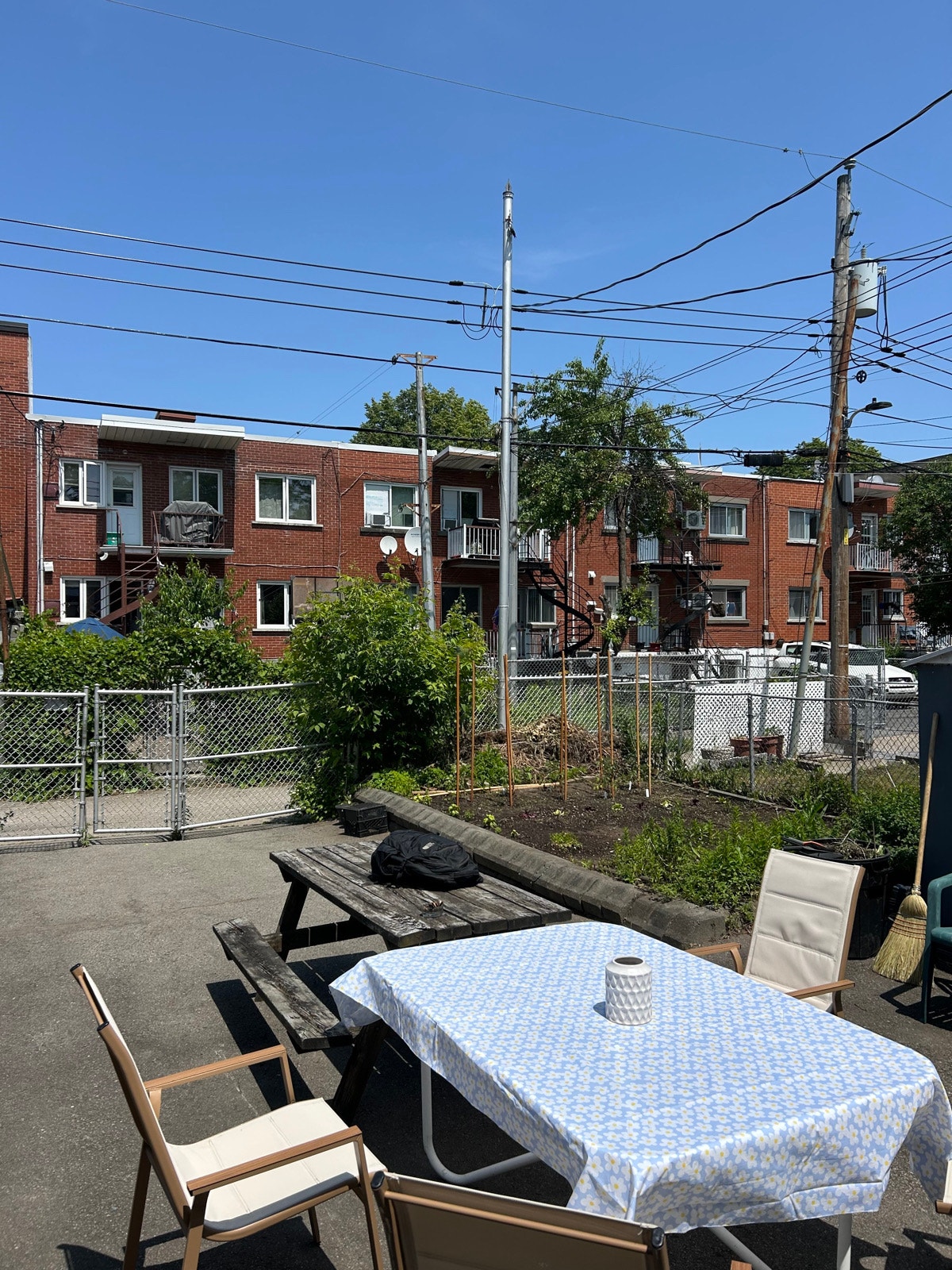 7333 Av. Papineau — photo 2
