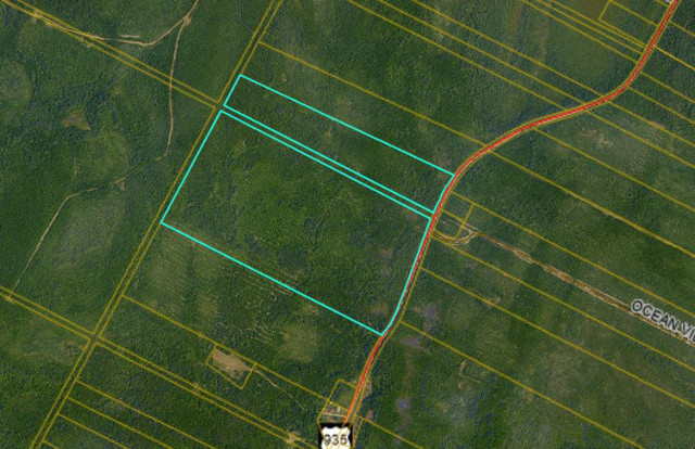 100 Acre Vacant Land in Land for Sale in Moncton - Image 2