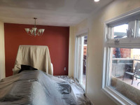 Professional House painting and Stucco removal 10+ years