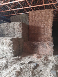 Hay and Straw in small square bales bundles of 21 delivery avail