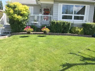 Looking for 2 workers for for help in spring cleaning of lawns , aeration and power raking