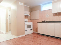 Beautiful 1 Bed 1 Bath Apartment for Rent