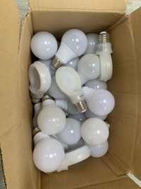 Box of lightbulbs 