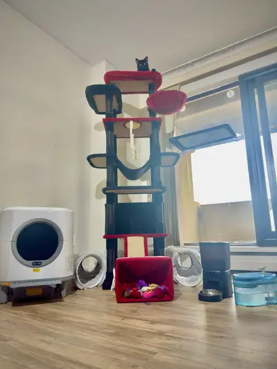 Free Cat Starter Kit , View more