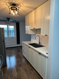 Renovated 2 BDRM in Old Strathcona! Top Floor, Balcony !!!