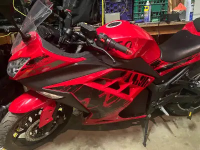 This bike is in decent shape has some scratches on side but still in mint condition just put in a ne...