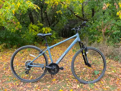 Nakamura Bordeaux Hybrid Bike - Perfect Commuter (Moving Sale!), View more