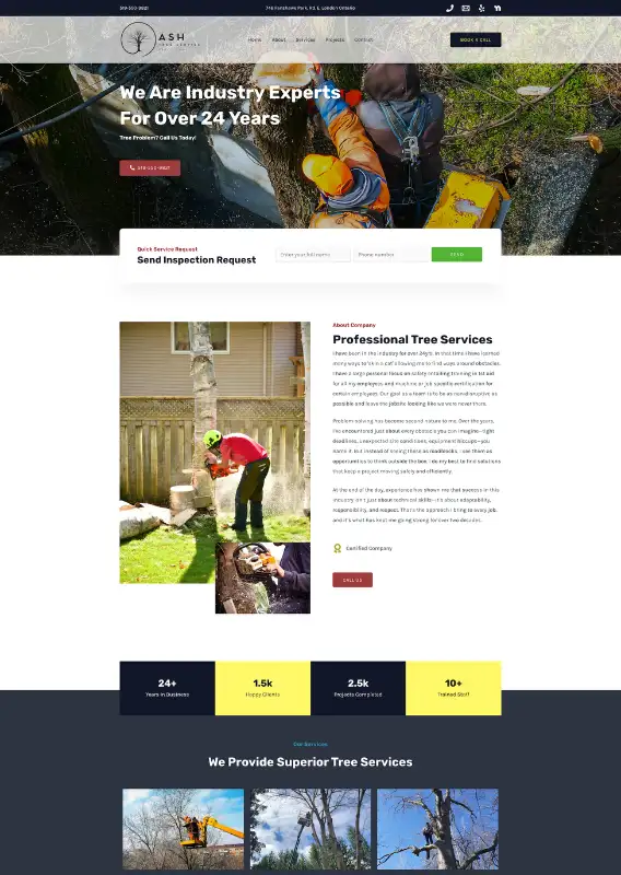 Web Designer offers Web Design just $60 Get Your Website Design62863727152387122