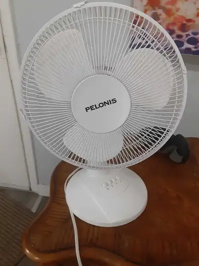 Personal fan, View more