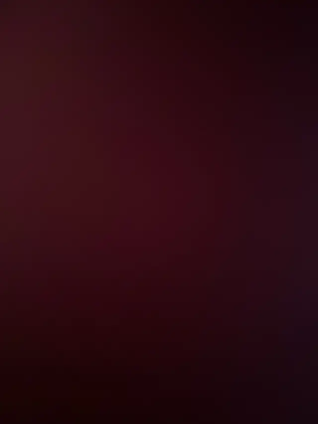 looking for a female kitten in Cats & Kittens for Rehoming in Moncton - Image 2