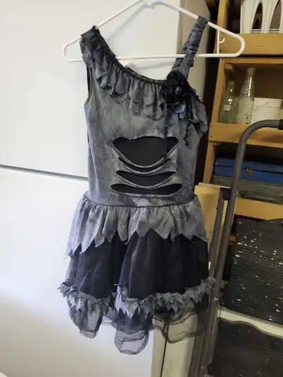 Dark Angel costume, View more