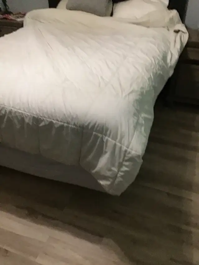 queen box spring in Free Stuff in Barrie - Image 2