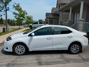 2019 Toyota Corolla LE