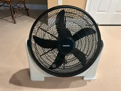 If you are looking for moving lots of air that cools a larger space - this is the fan for you. The 2...