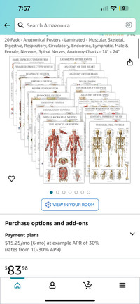 Anatomy Posters (20 Pack)