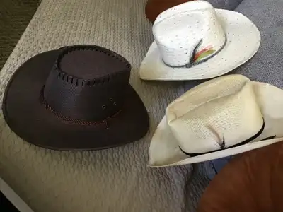 Beautiful hats for Stampede. Each from 25$ to 50$. 2 Brown ones 25$ each, Black bow with feather 30$...