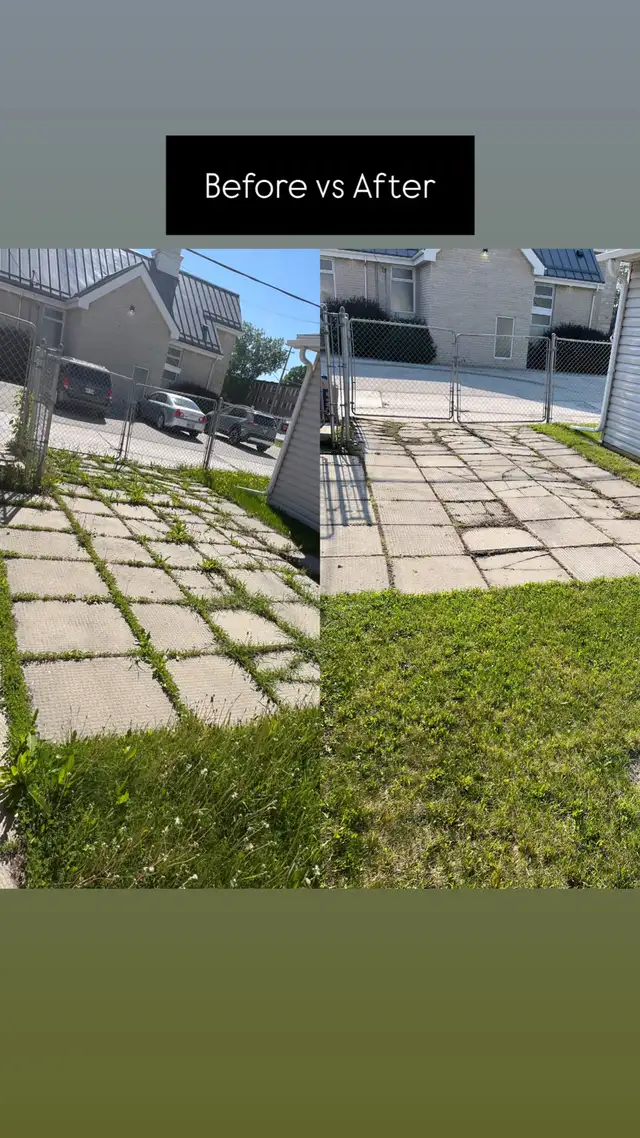 Peak Property Care62864356138753121