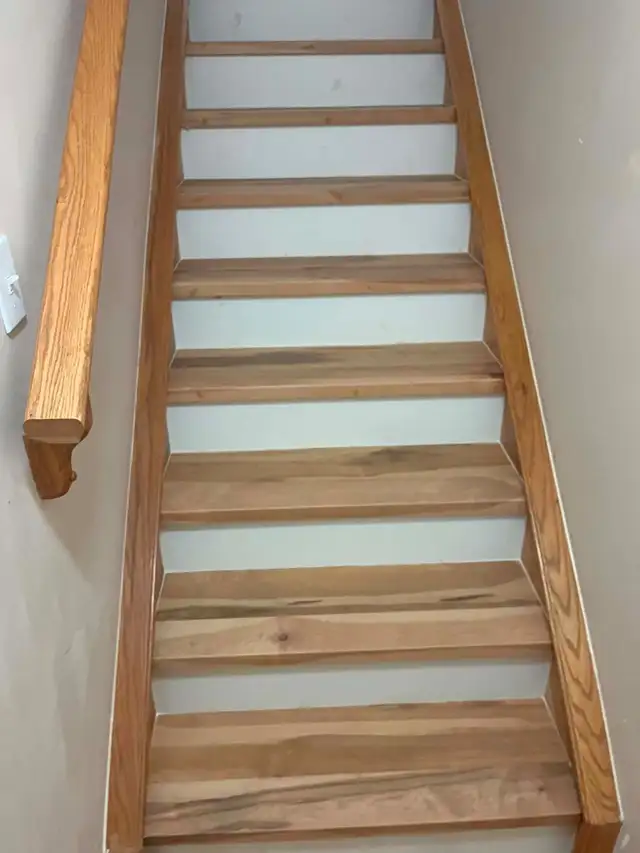 Handyman/Carpenter601415059695226884