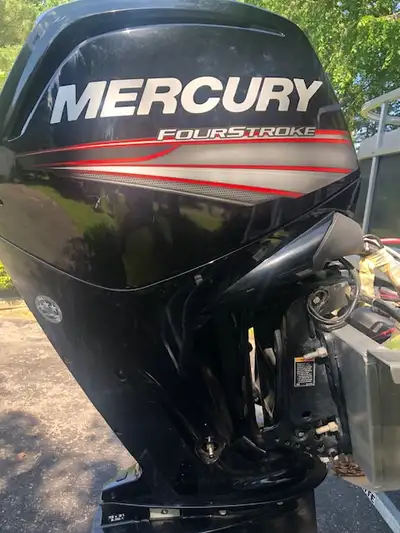 Twin Pontoon 21 feet of space with a 115 HP Mercury four stroke engine. New in 2018 with full camper...