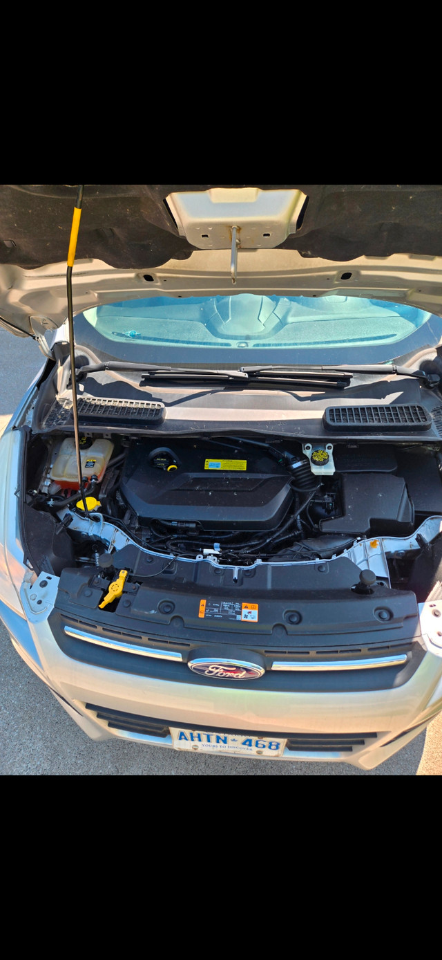 2013 Ford Escape in Cars & Trucks in Windsor Region - Image 2
