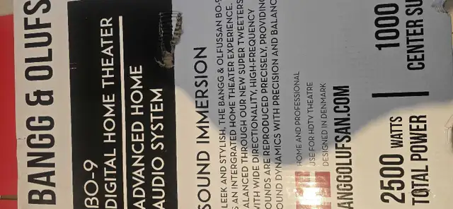 Bangg & Olusfsan Speakers in Speakers in Markham / York Region - Image 5