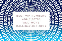 416/905/647/519/705 Vip phone numbers for cell fax VoIP landline