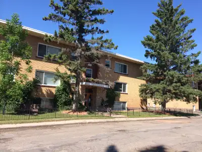 EXCLUSIVE LAKEVIEW AREA SECOND FLOOR SUITE OF THREE STORY APARTMENT BUILDING - TWO BEDROOM ALSO AVAI...
