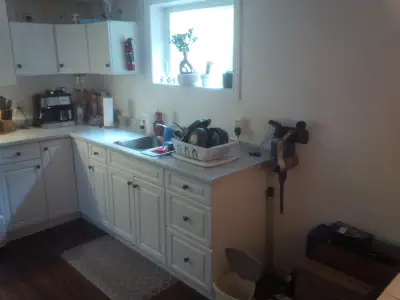 CLEAN, SPACIOUS, QUIET, BSMNT APARTMNT, CLOSE TO UofG