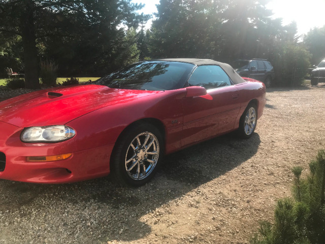 2002 Camaro SS Convertable in Cars & Trucks in St. Albert - Image 3