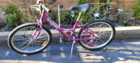 Raleigh sundowner youth bike