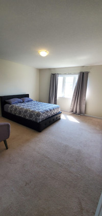 5 Bedrooms for Rent close to Brock University/Niagara College