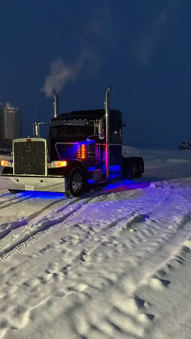 2019 389 in Heavy Trucks in Grande Prairie - Image 5