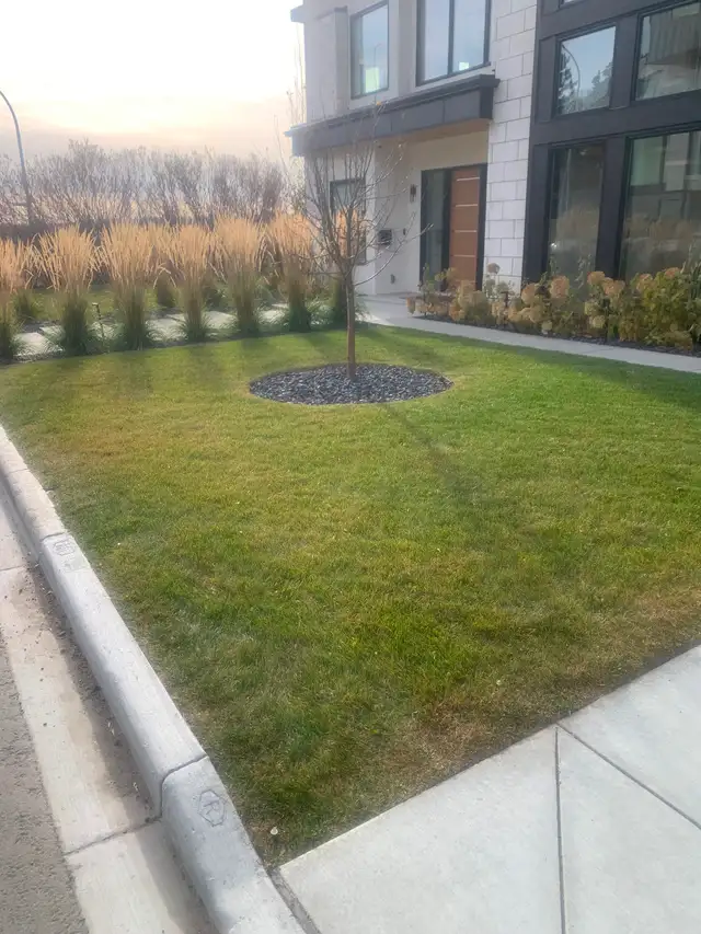 Professional Fall Cleanup and Snow Removal Services591903317548093445