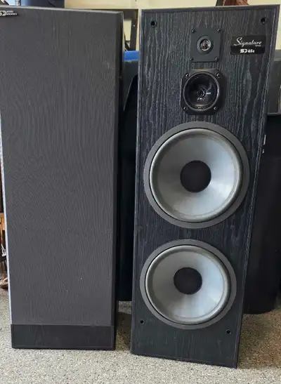 2 Tower Speakers for Sale, View more