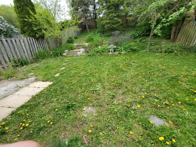 Sodding & Landscaping Services In Brampton & GTA63005664561281122