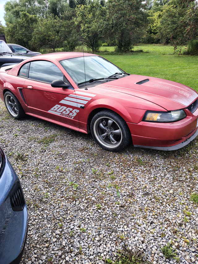 Turbocharged Mustang GT in Classic Cars in Oakville / Halton Region