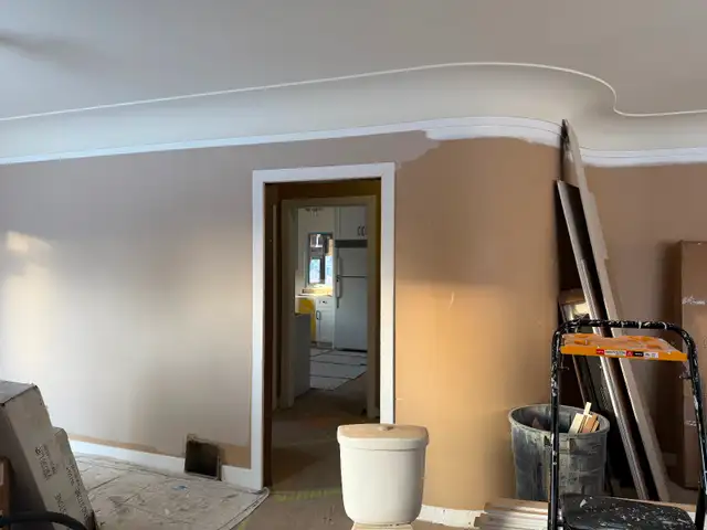 Budget Paintin Services433376635179520003