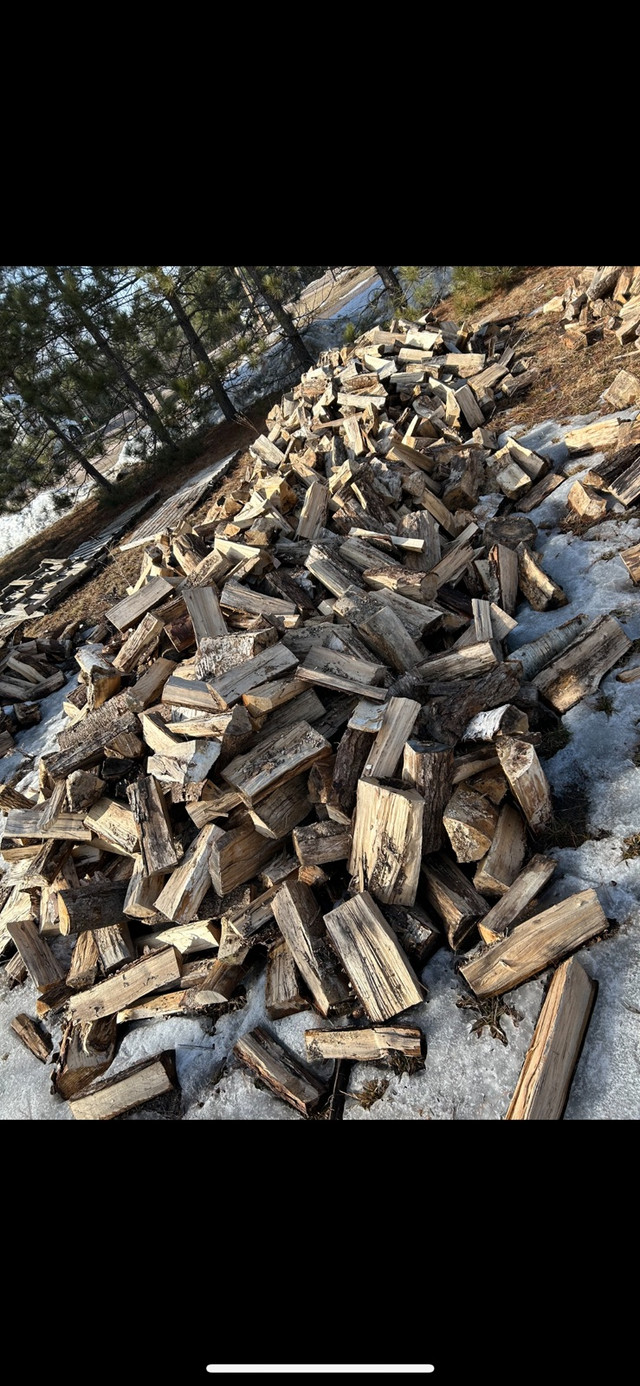 Dry hardwood 13 inch peices in Fireplace & Firewood in Petawawa