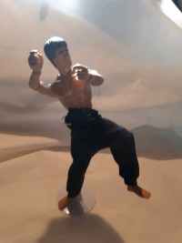 " Bruce Lee"  12 inch  action figure